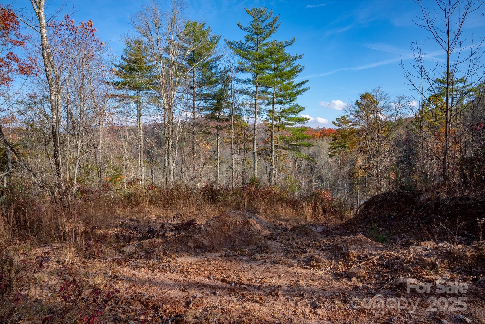 TBD South Fork Trail