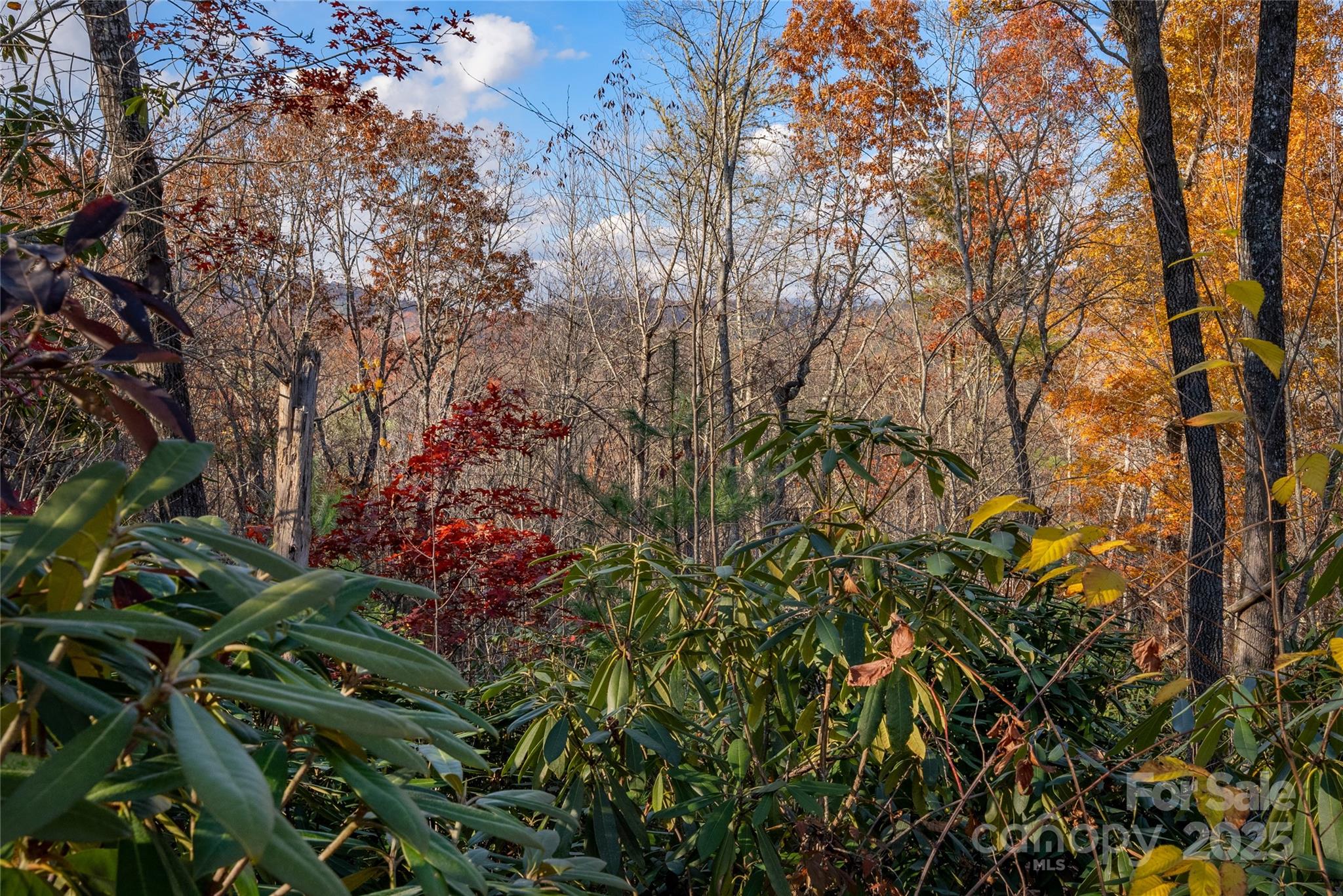 TBD South Fork Trail