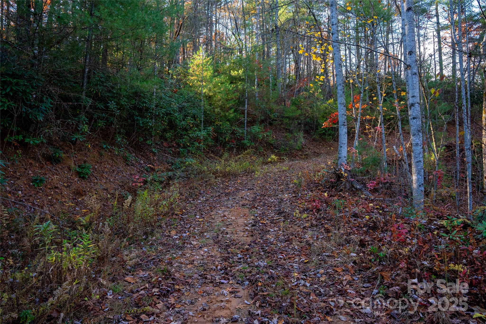 TBD South Fork Trail