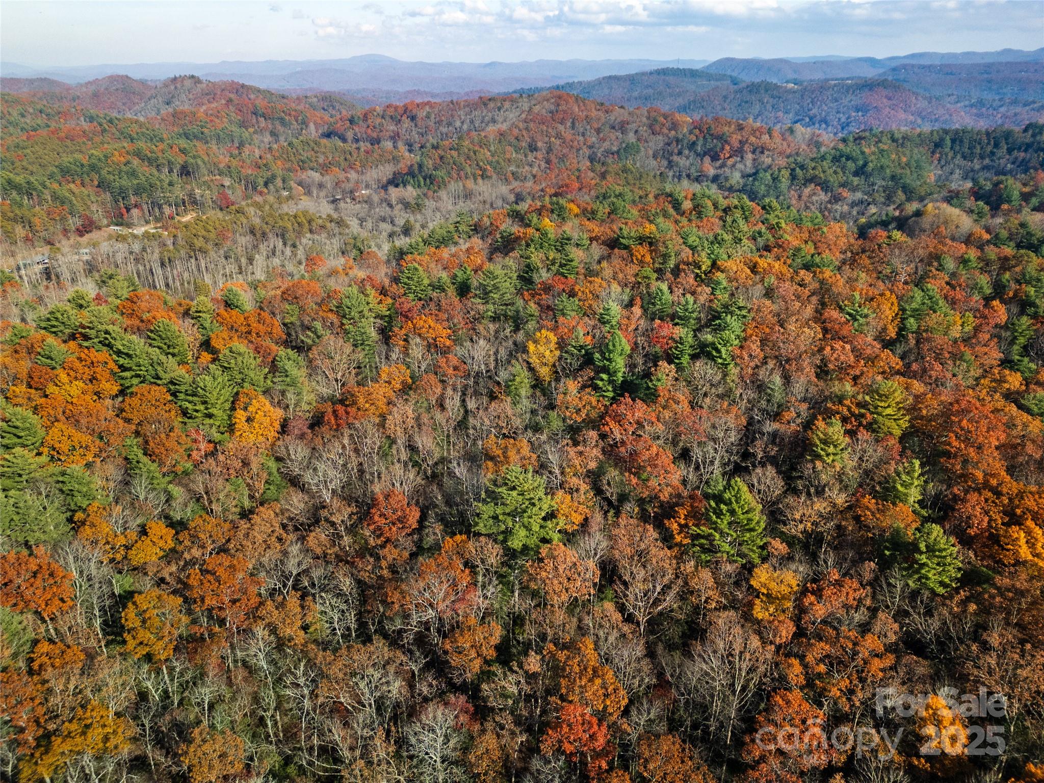 TBD South Fork Trail
