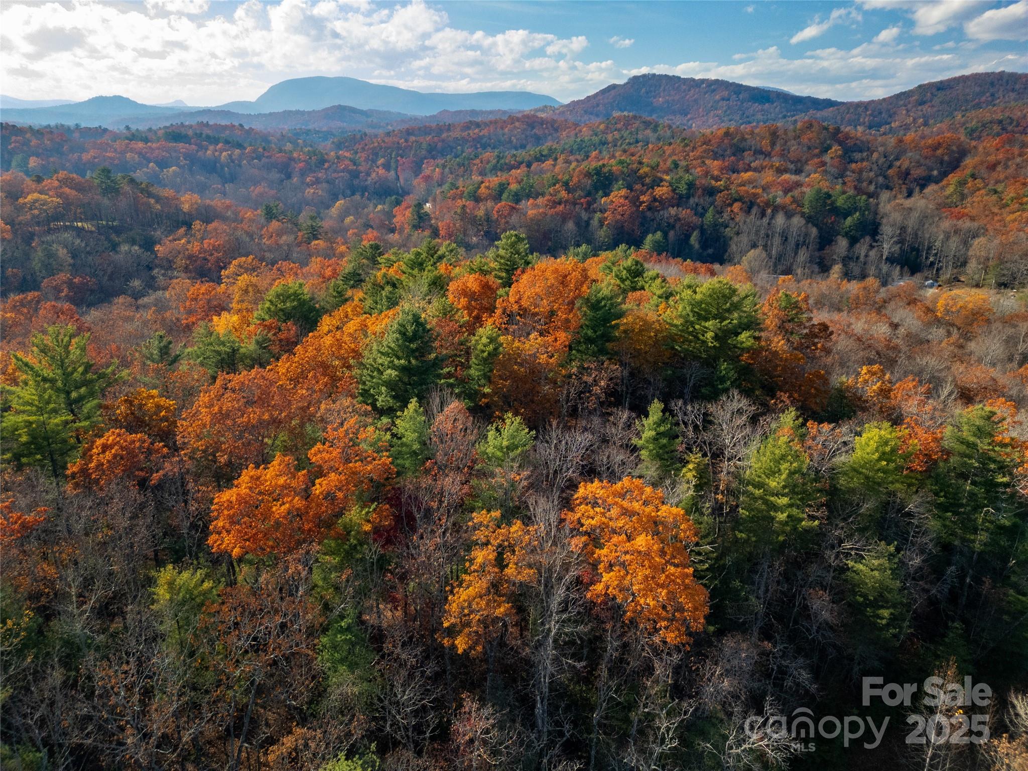 TBD South Fork Trail