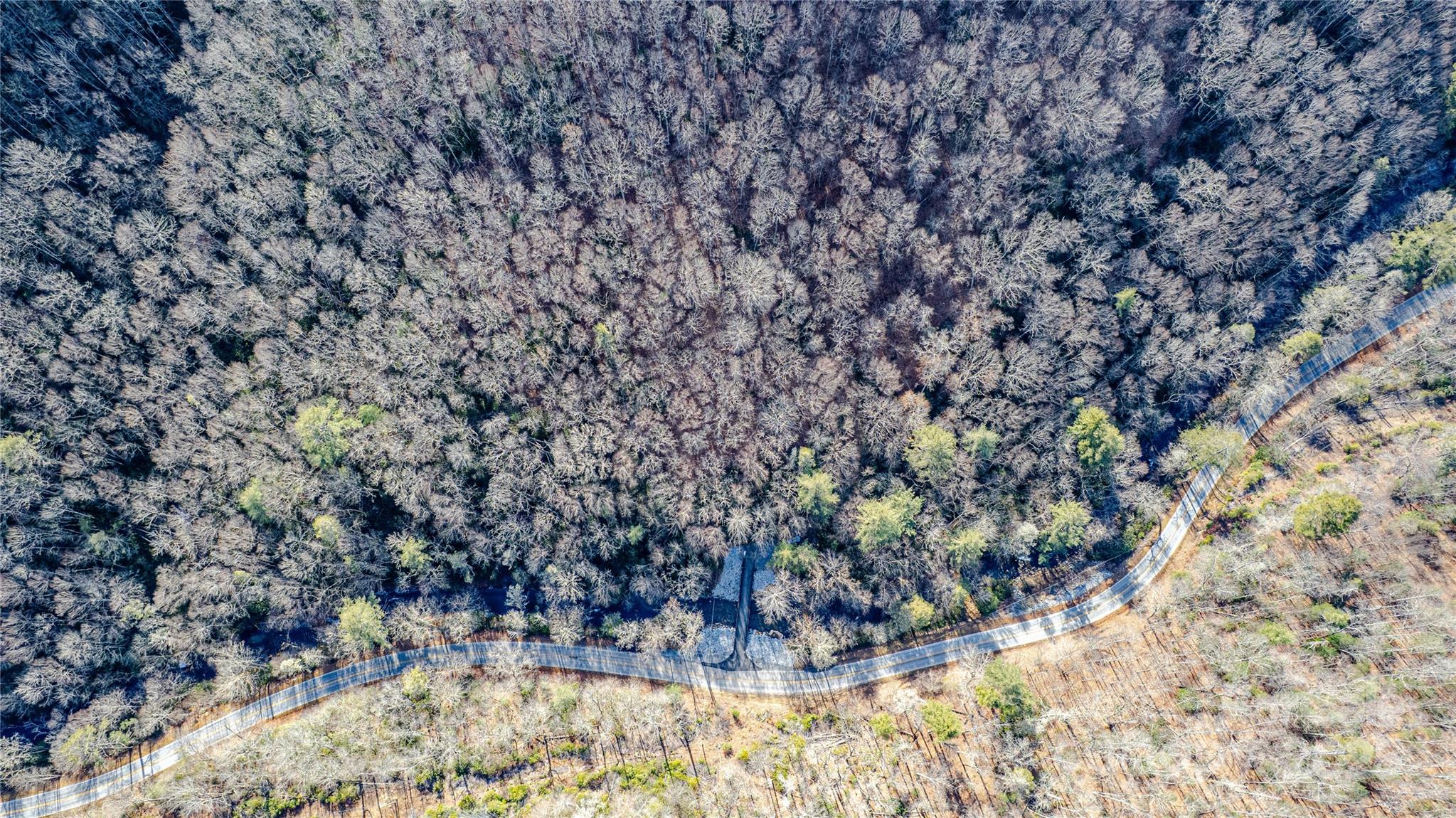 TBD Tannassee Creek Road