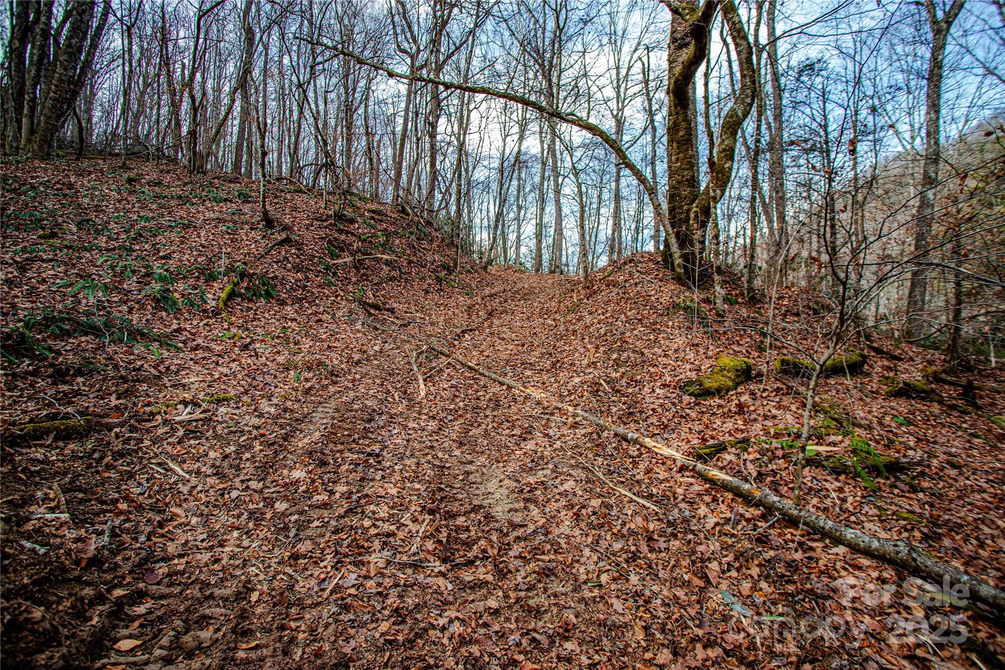 TBD Tannassee Creek Road