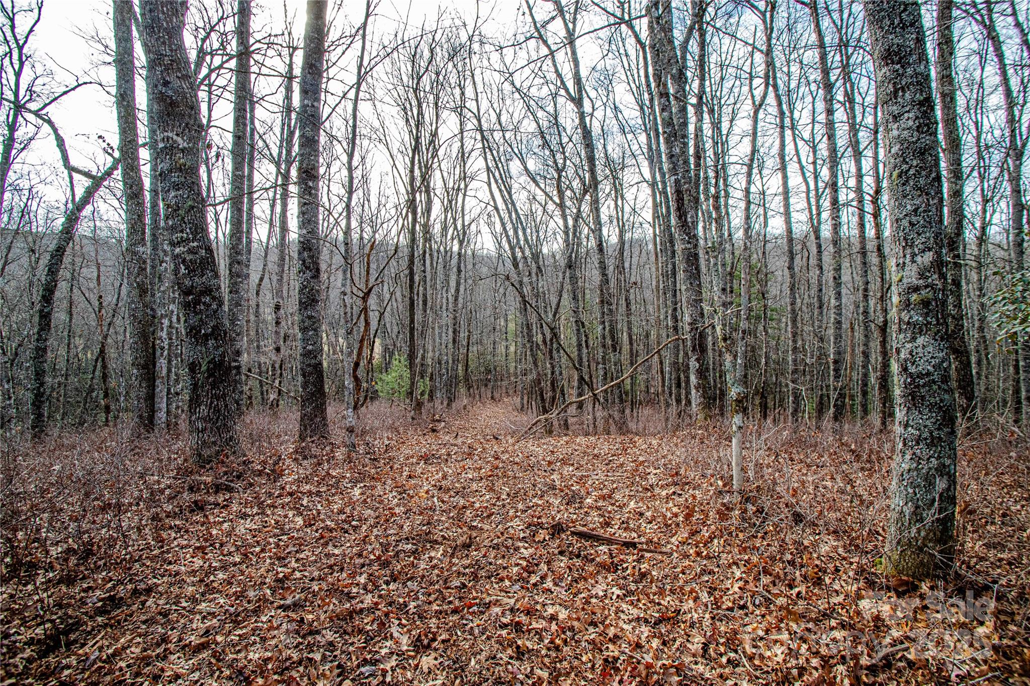 TBD Tannassee Creek Road