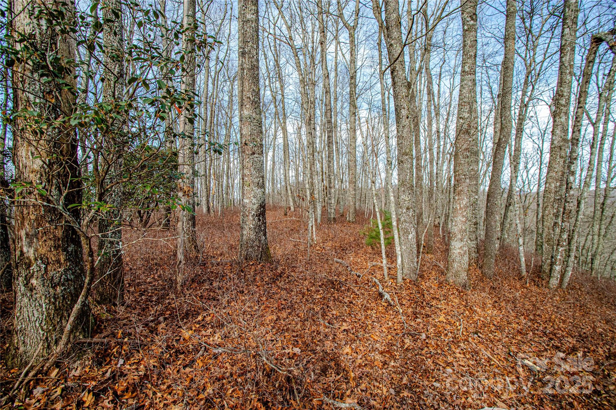 TBD Tannassee Creek Road