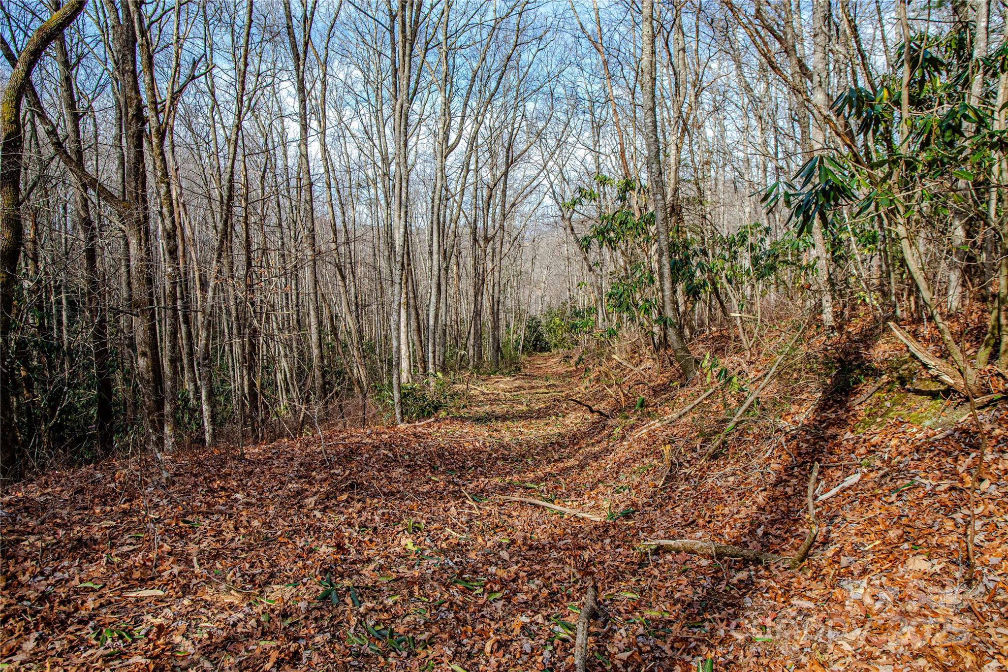 TBD Tannassee Creek Road