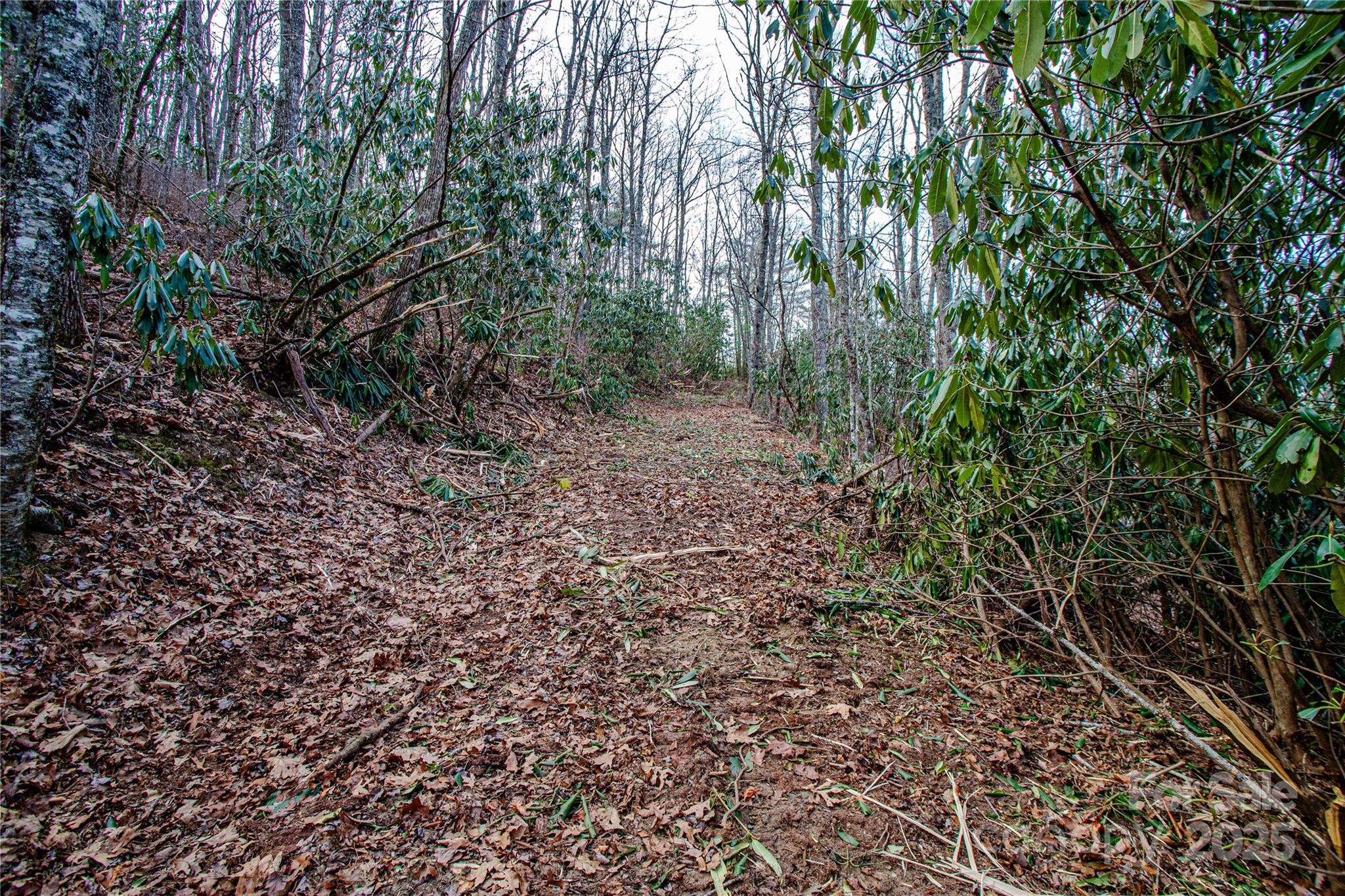 TBD Tannassee Creek Road