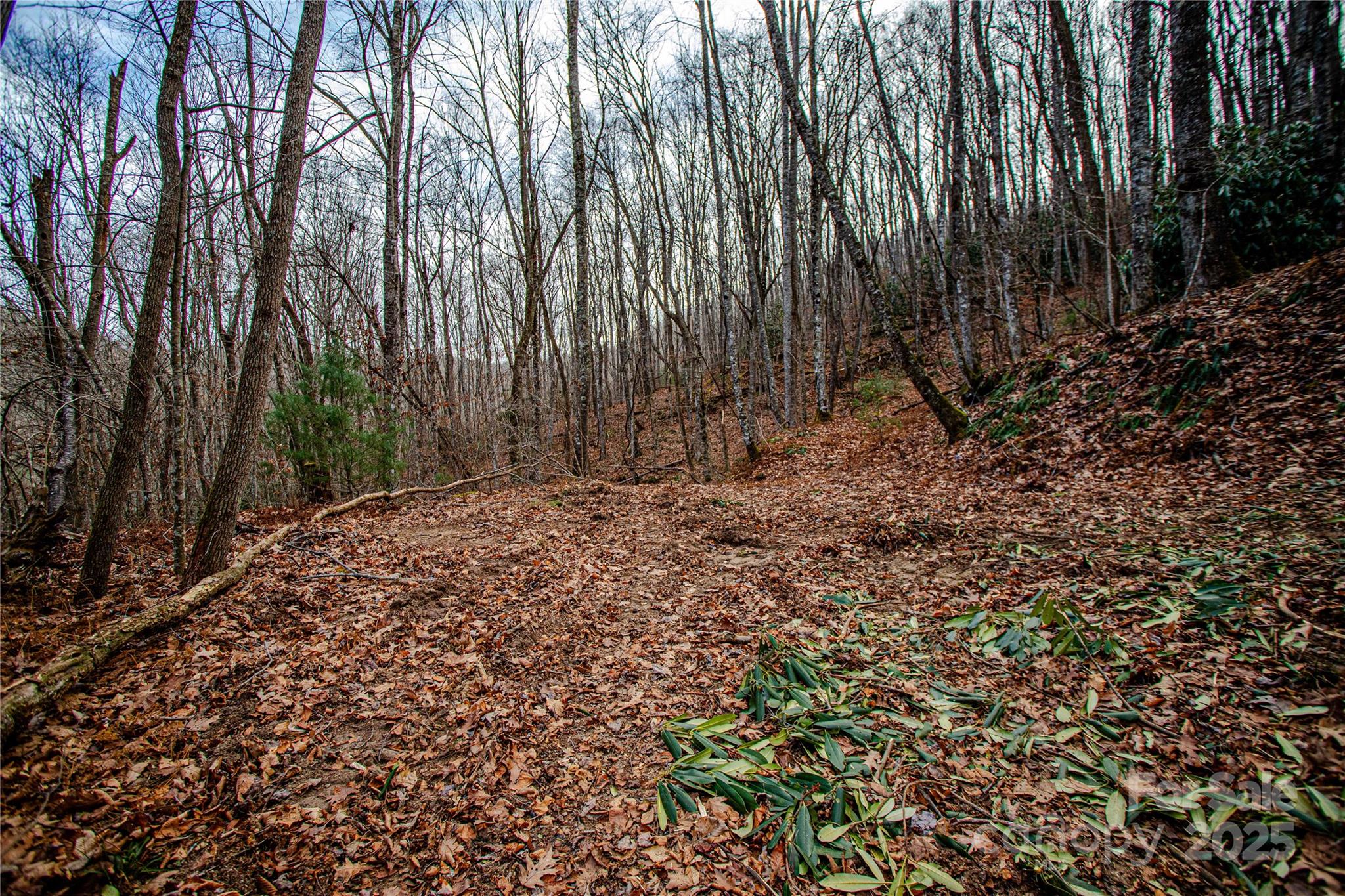 TBD Tannassee Creek Road