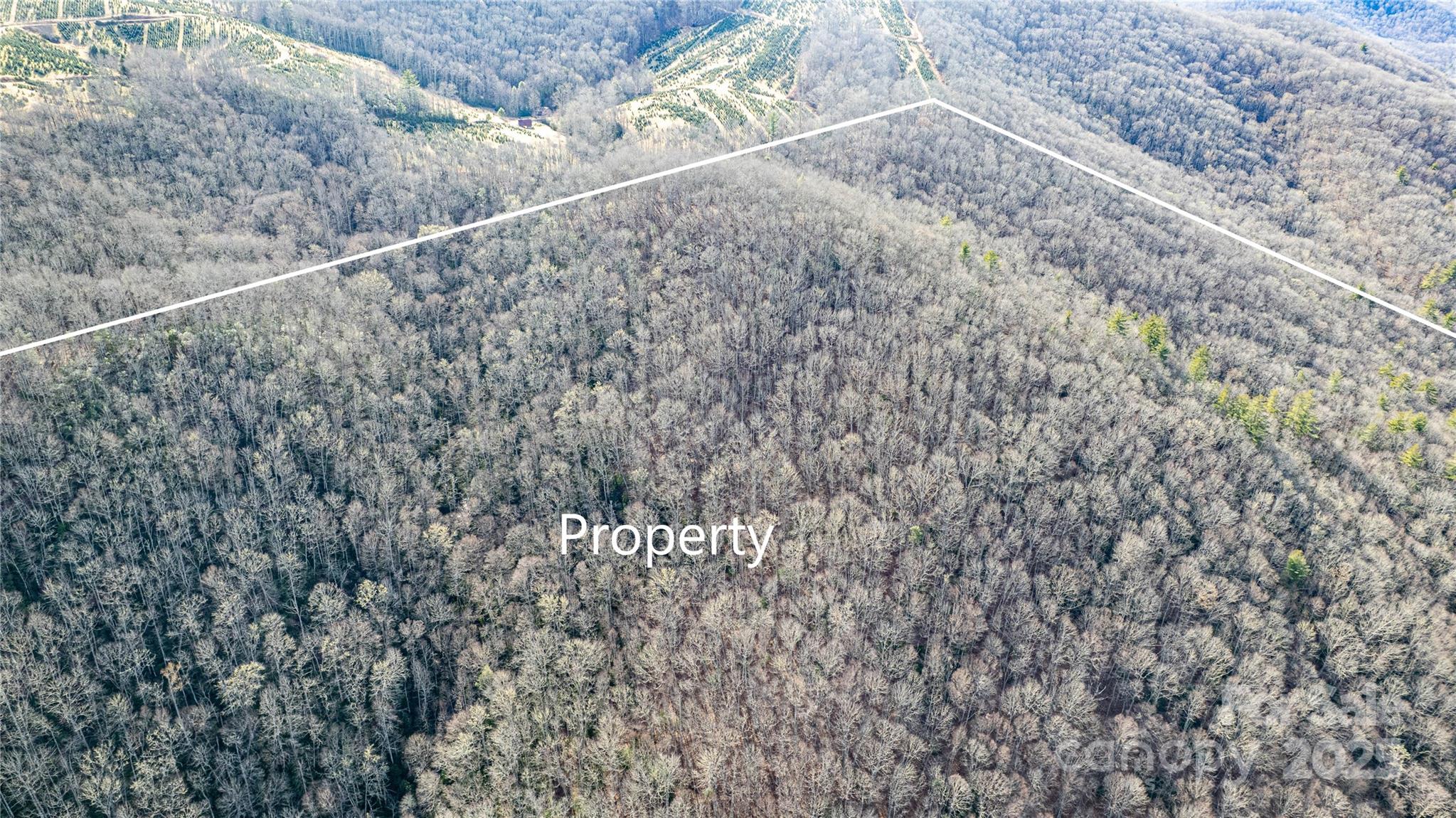 TBD Tannassee Creek Road