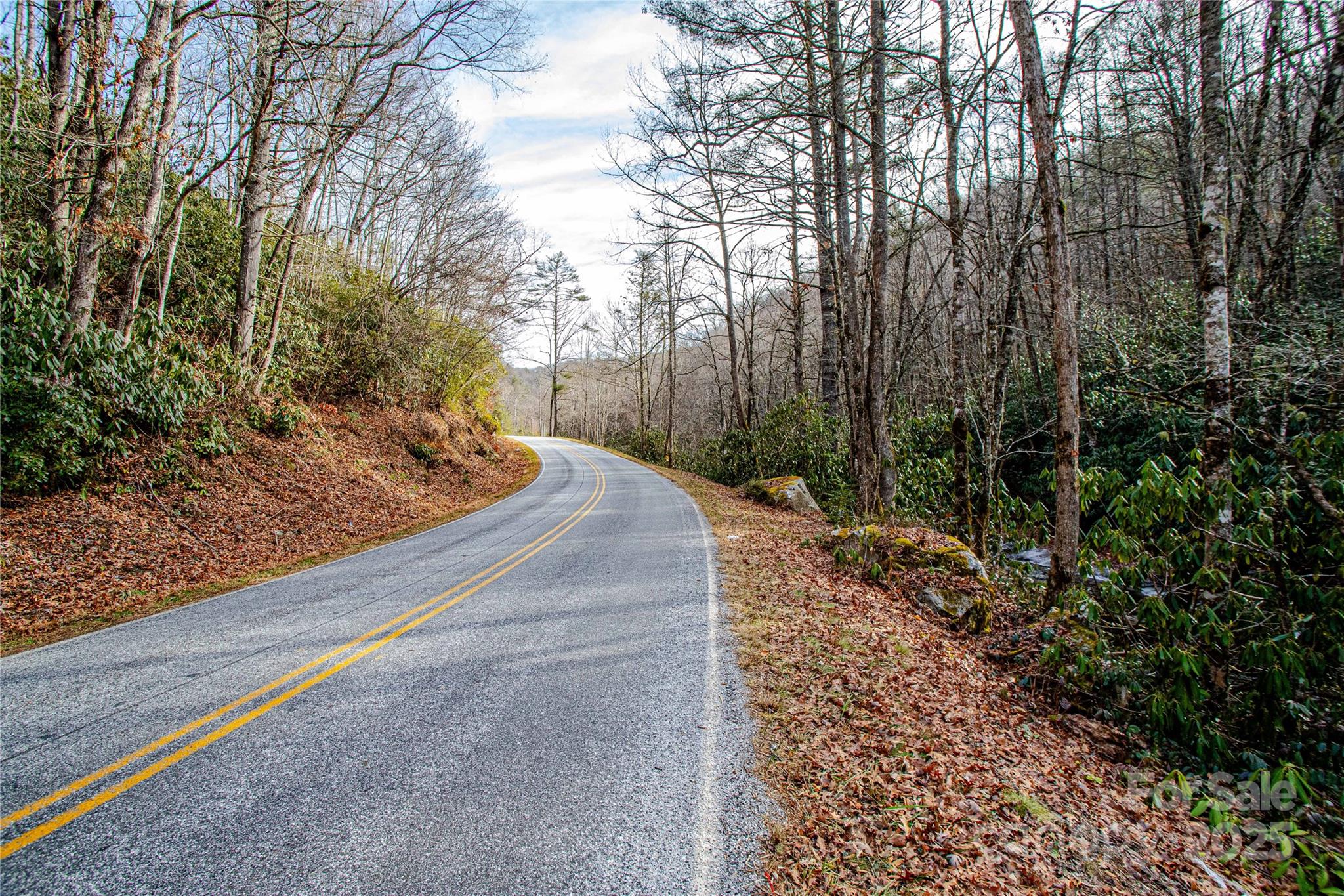 TBD Tannassee Creek Road