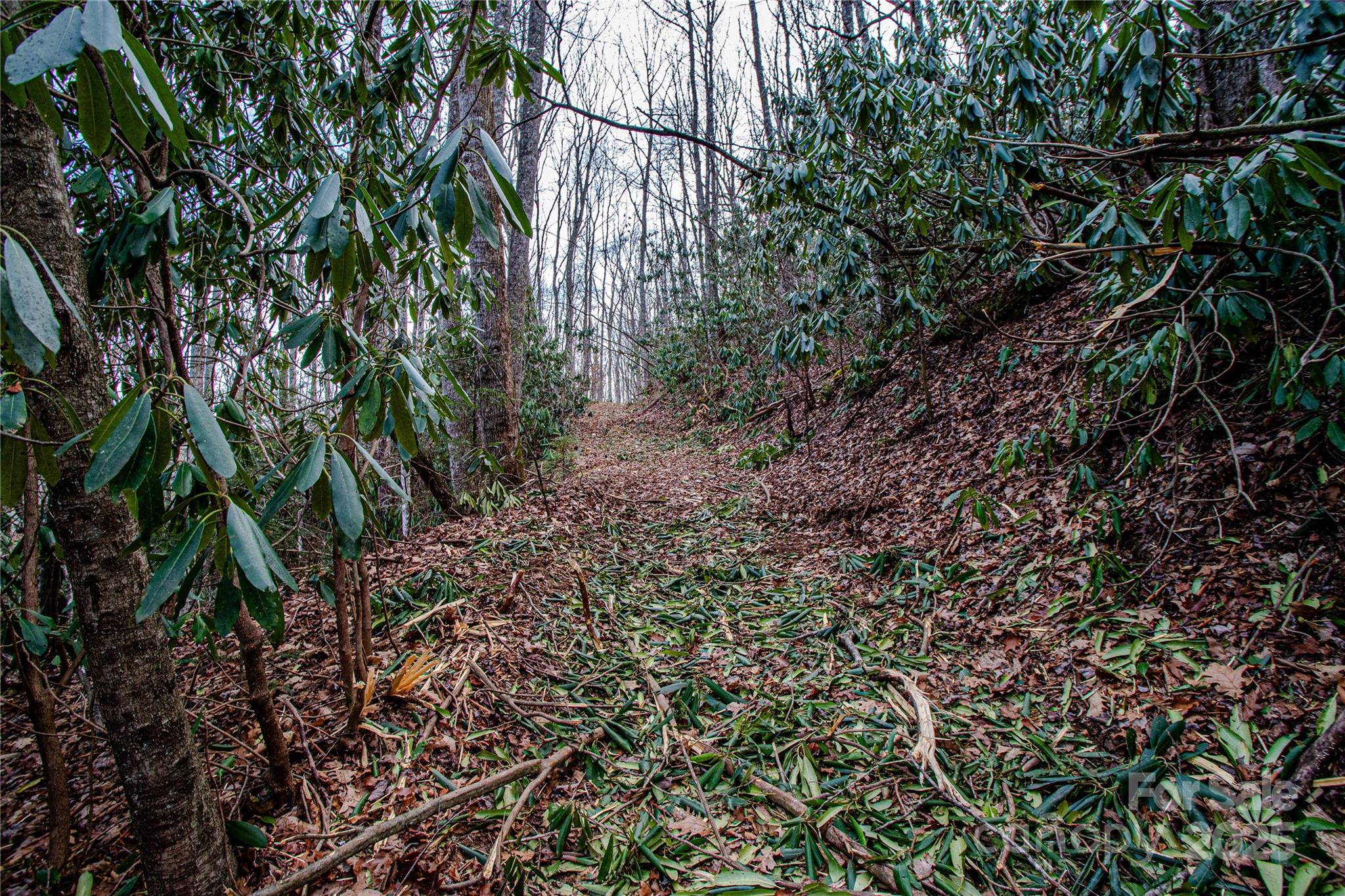 TBD Tannassee Creek Road