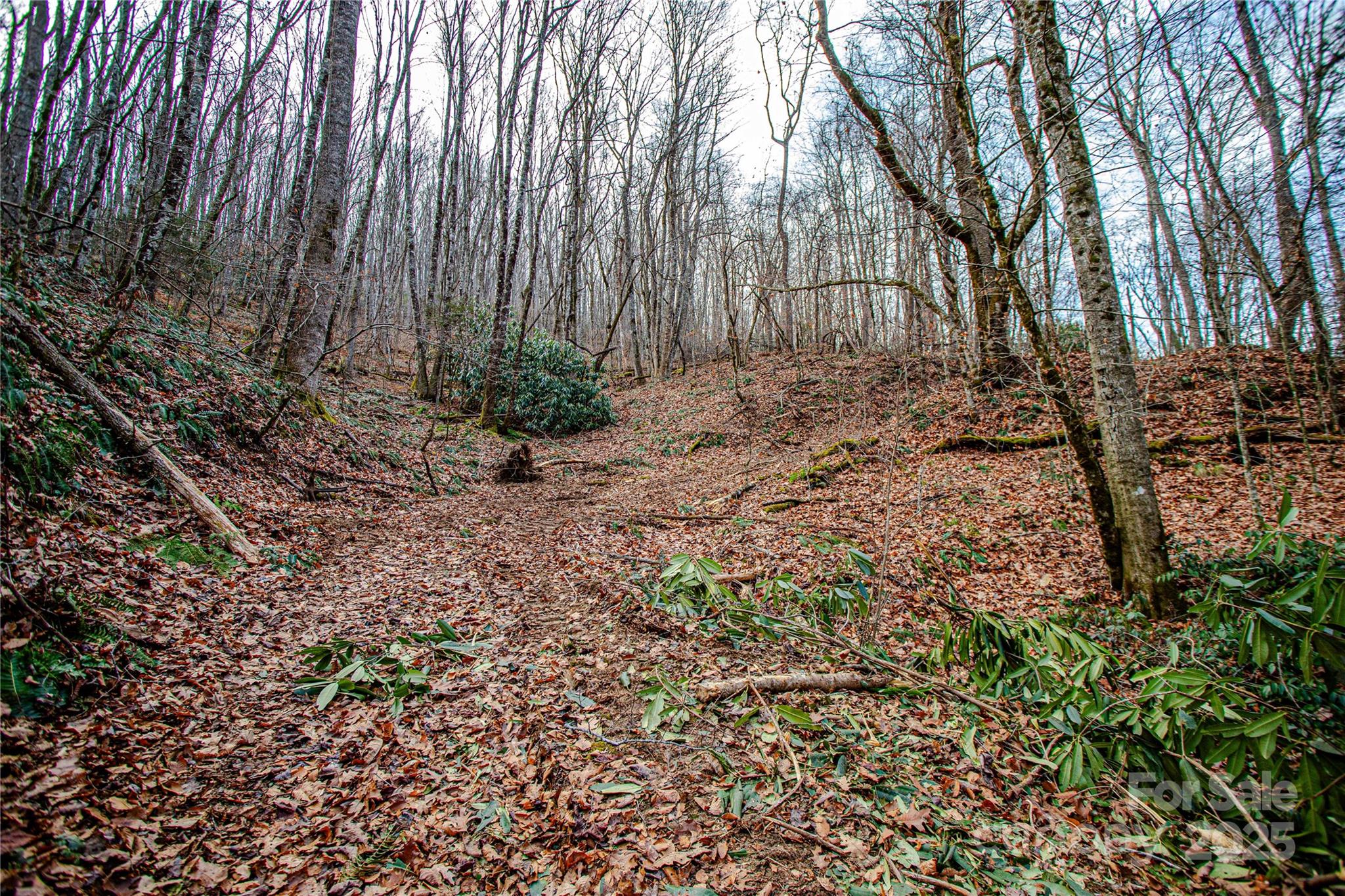 TBD Tannassee Creek Road