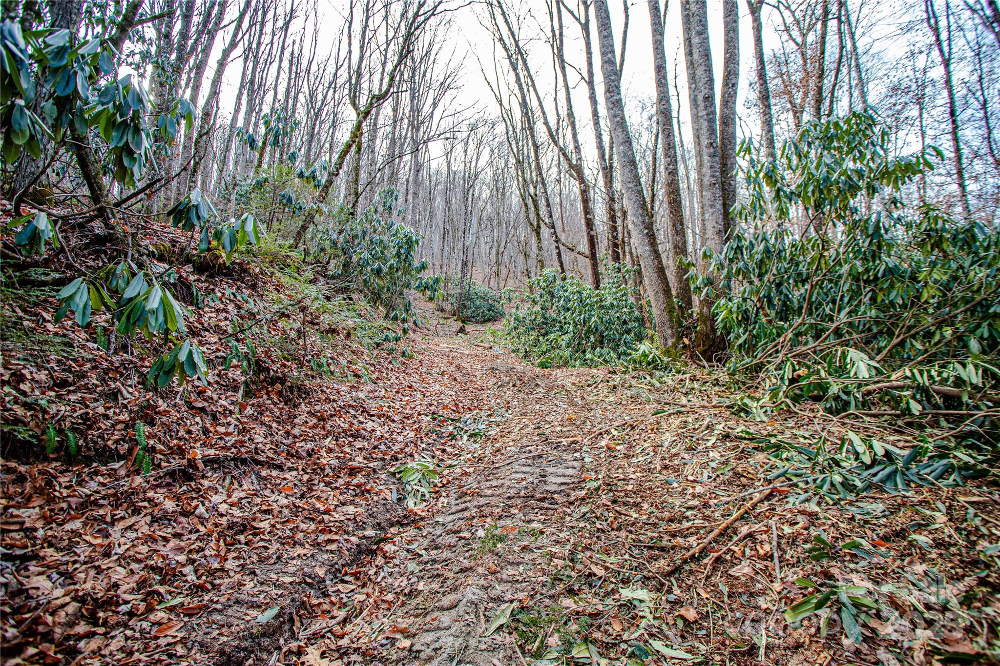 TBD Tannassee Creek Road