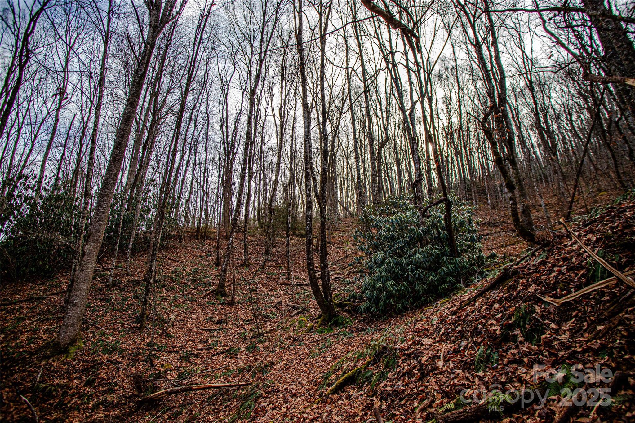 TBD Tannassee Creek Road