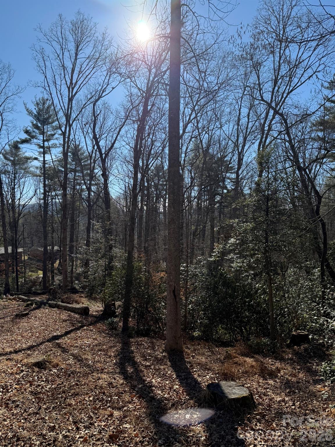 9999 Rockbrook Overlook