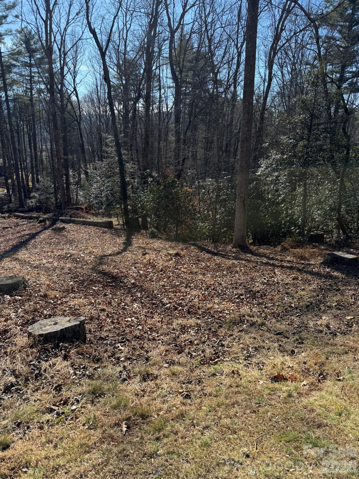 9999 Rockbrook Overlook