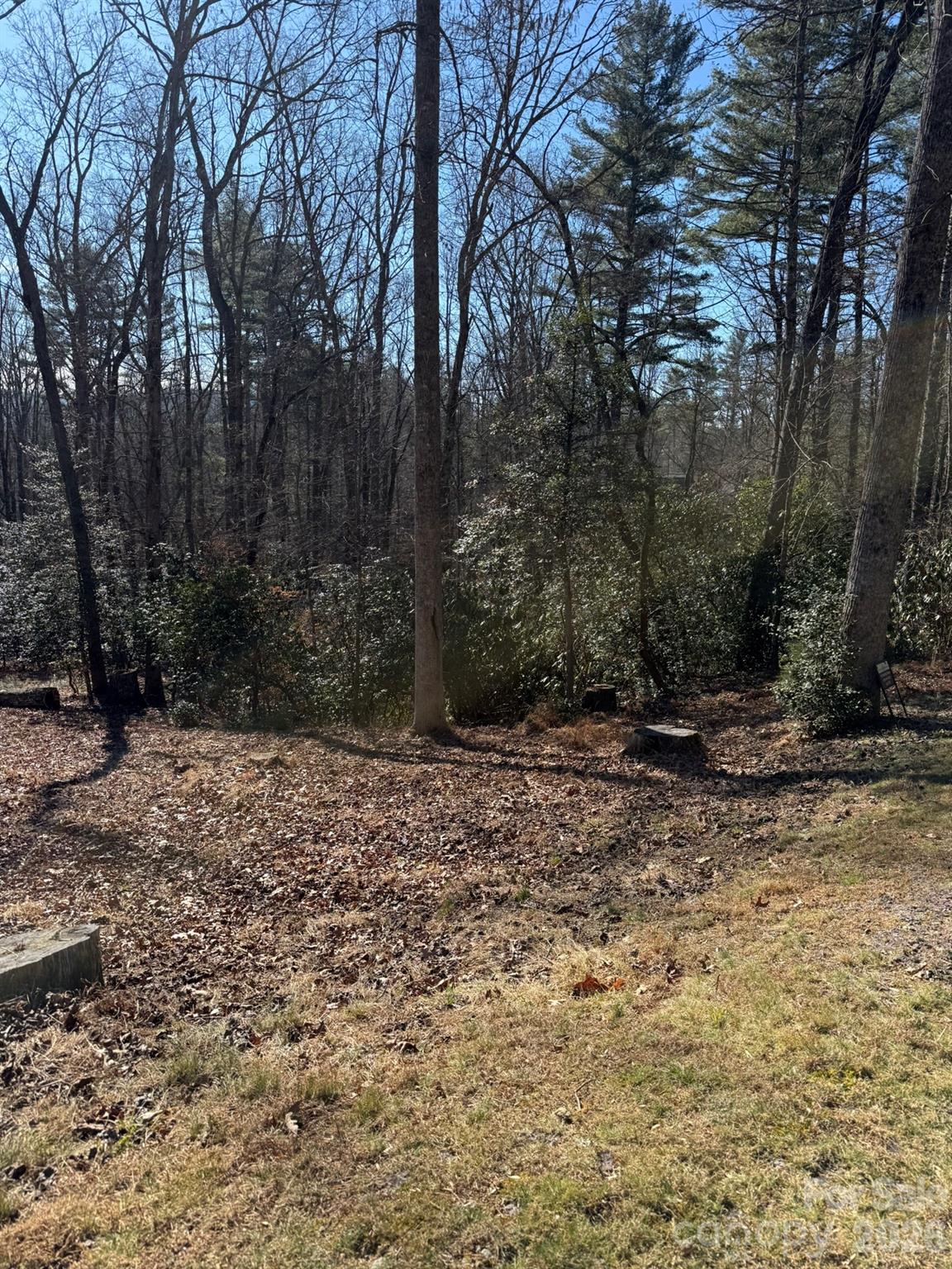 9999 Rockbrook Overlook