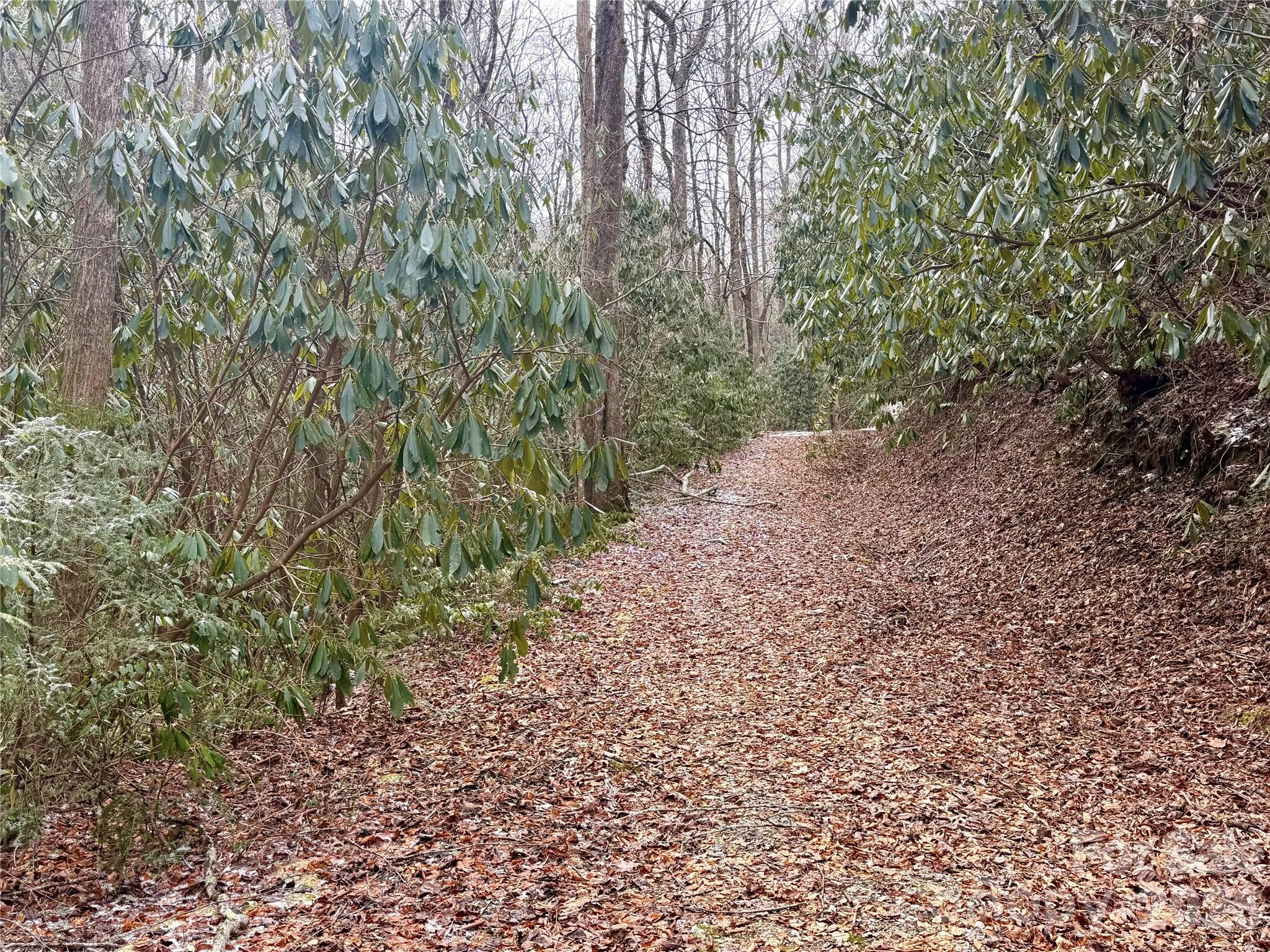 581 Hubbard Hollow Road