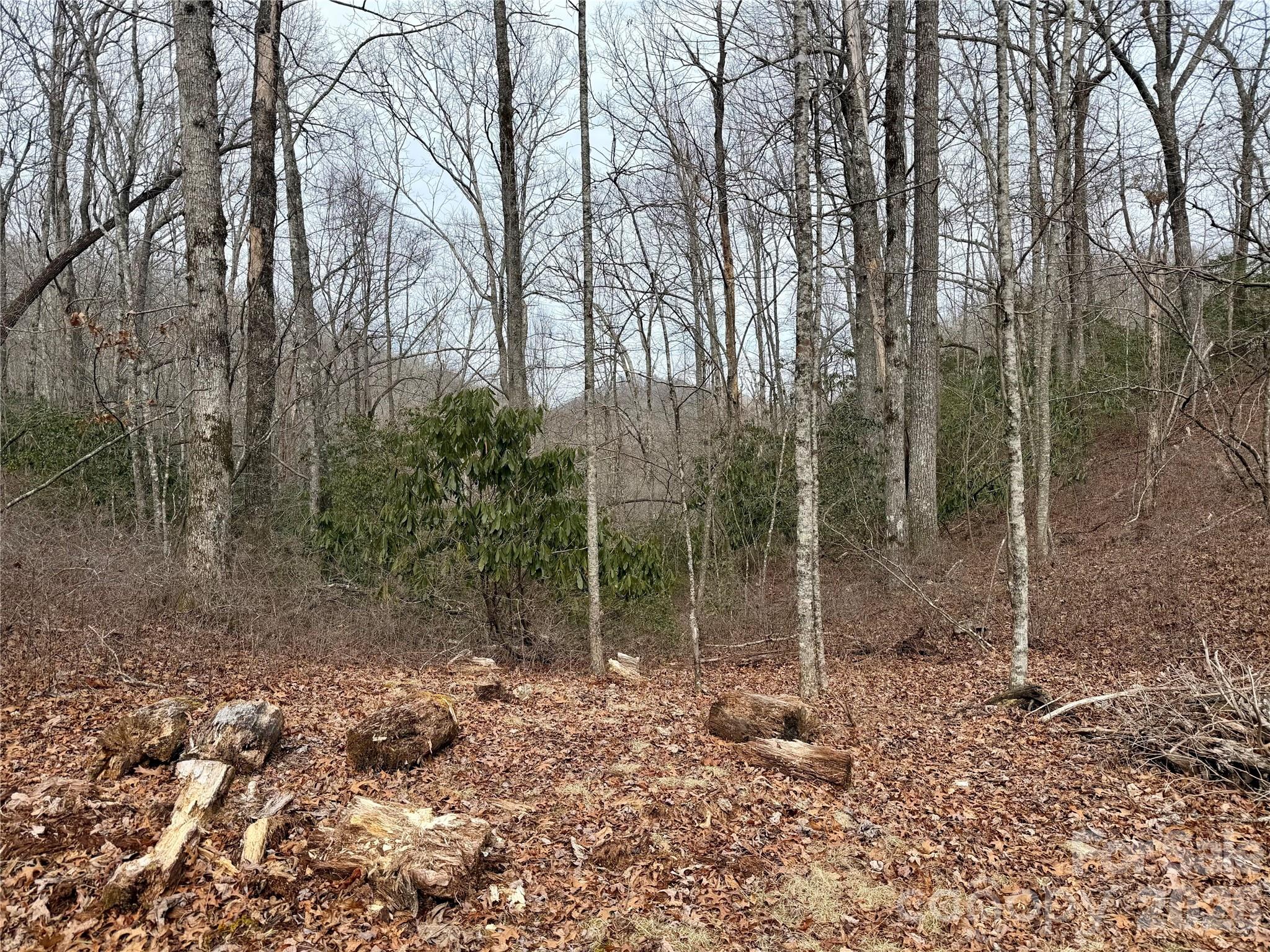 581 Hubbard Hollow Road