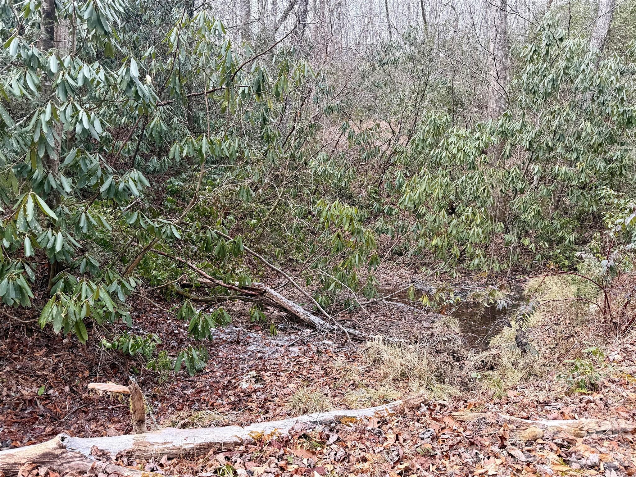 581 Hubbard Hollow Road