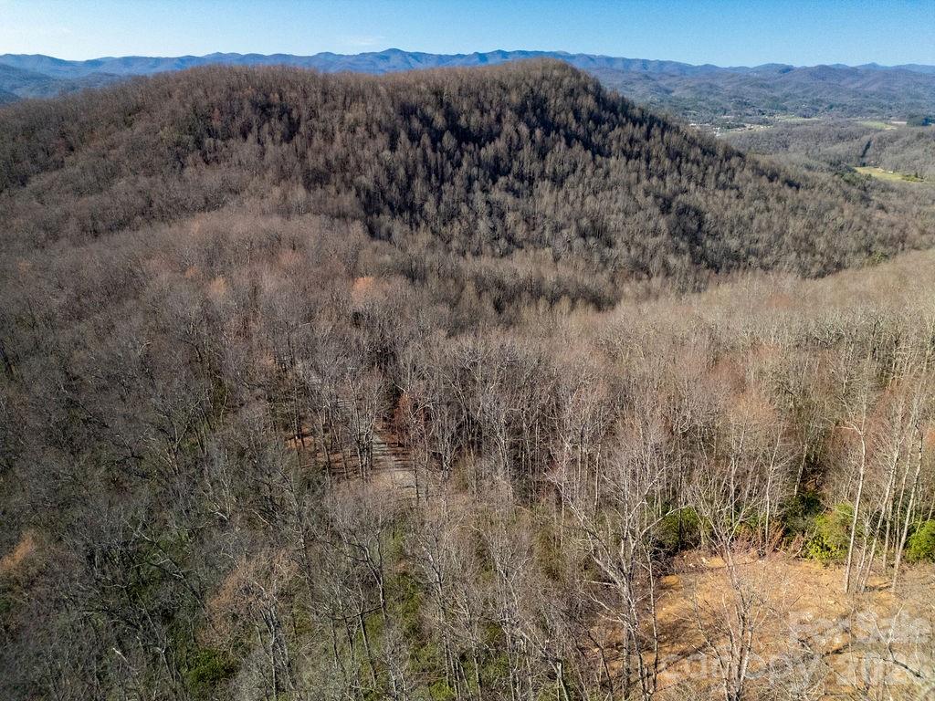 TBD Oak Ridge Road Unit: 17