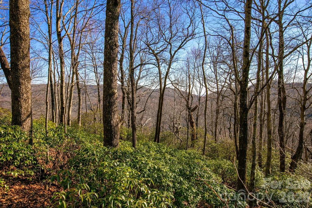 TBD Oak Ridge Road Unit: 17