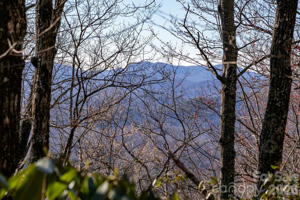 TBD Oak Ridge Road Unit: 17