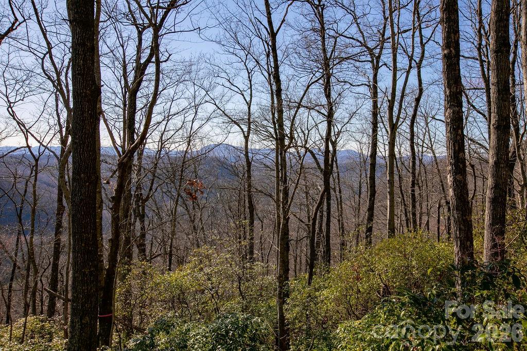 TBD Oak Ridge Road Unit: 17