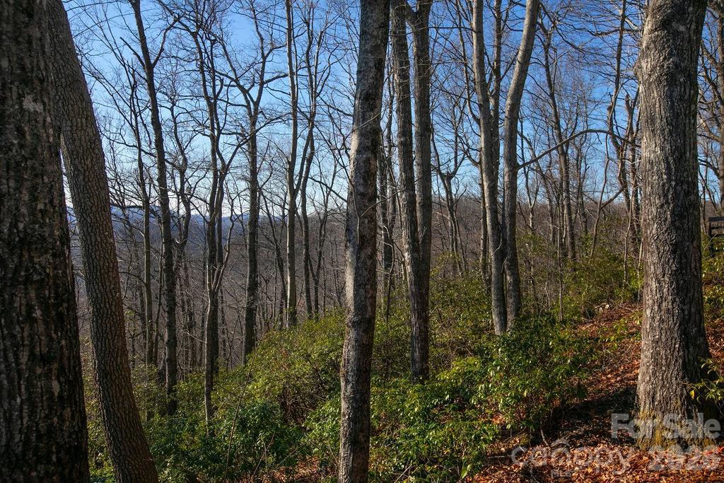 TBD Oak Ridge Road Unit: 17