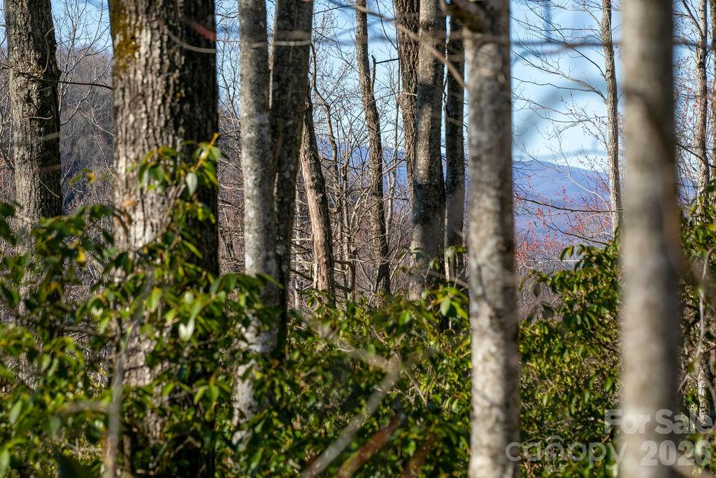 TBD Oak Ridge Road Unit: 17