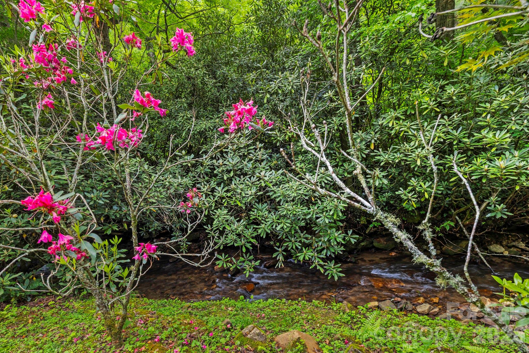 3739 Pickens Highway