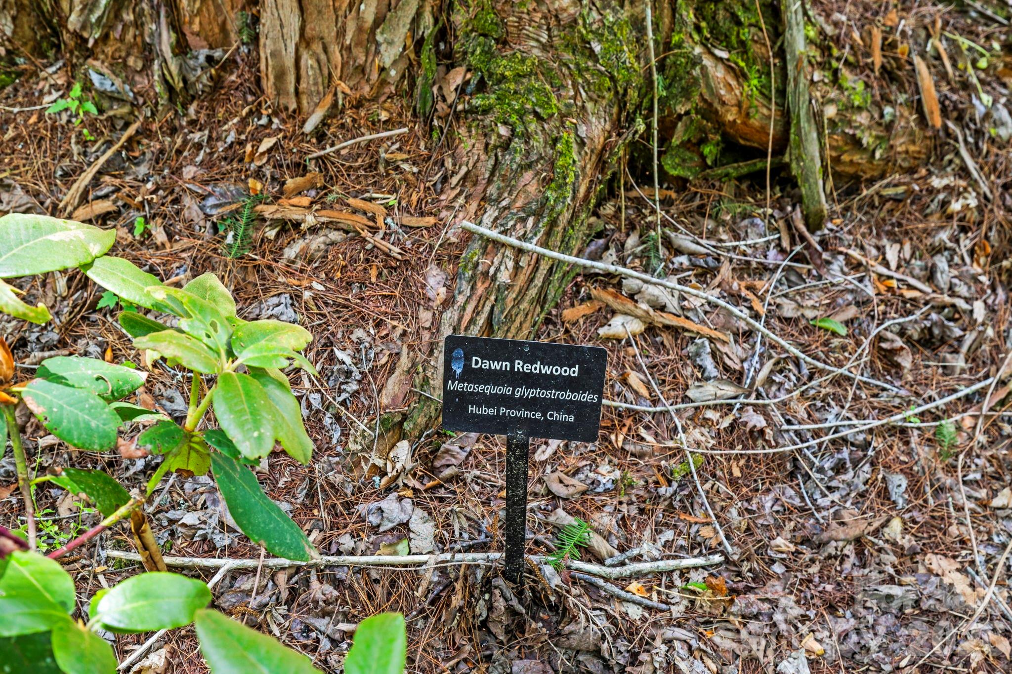 3739 Pickens Highway