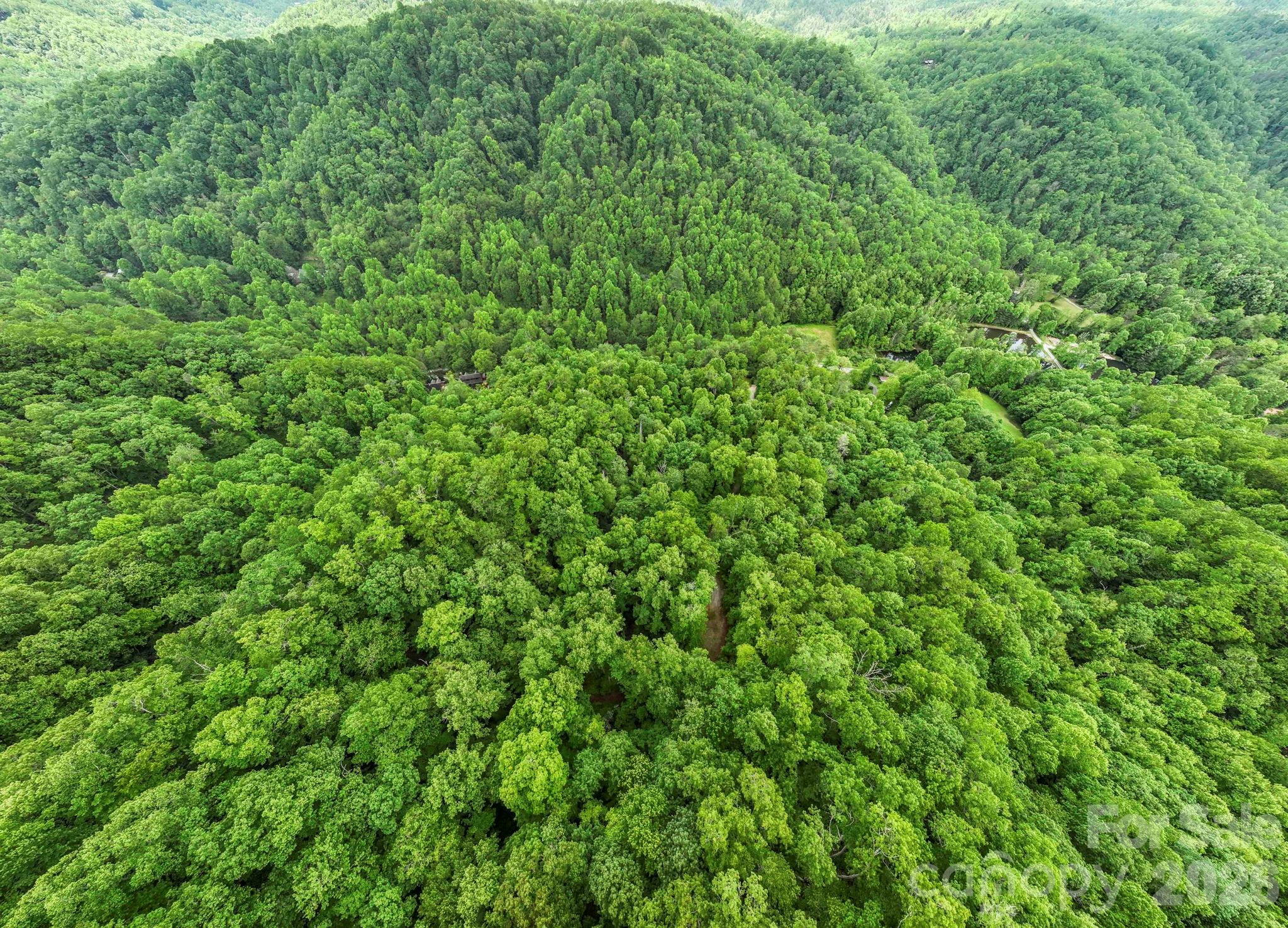 3739 Pickens Highway