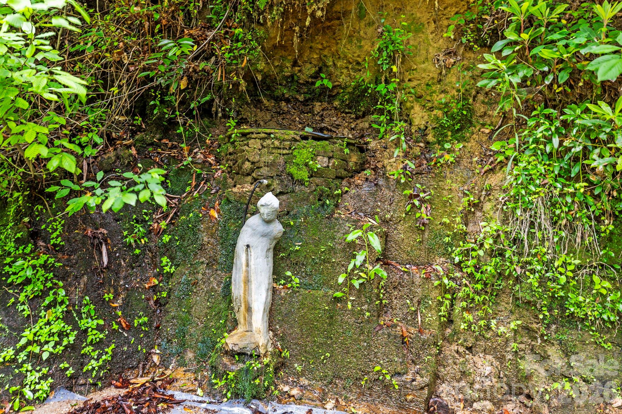 3739 Pickens Highway