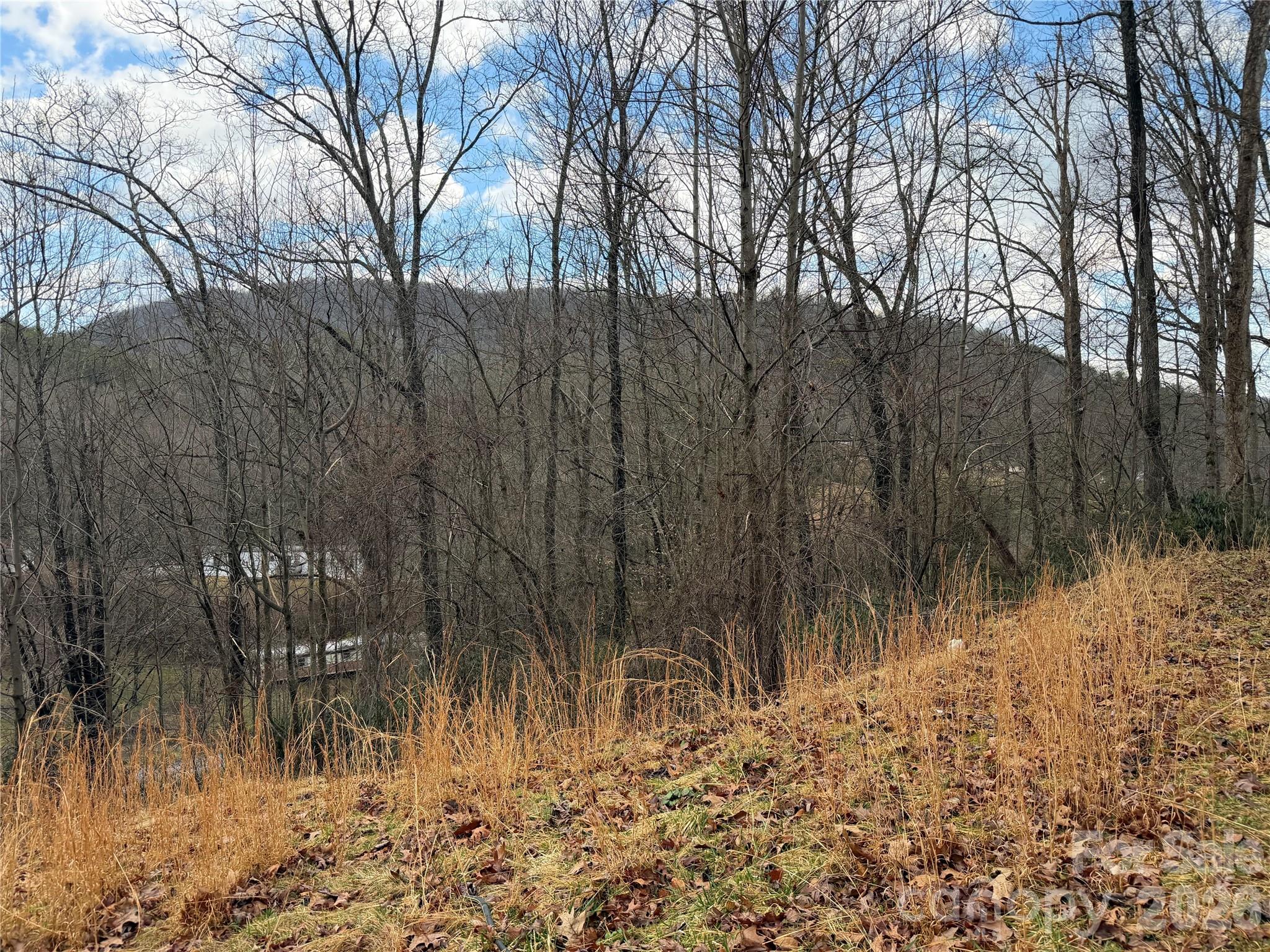 233 Lyday Creek Road