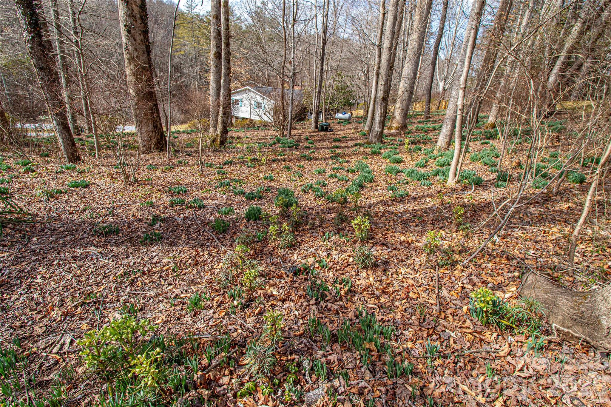 356 Pleasant Hill Drive