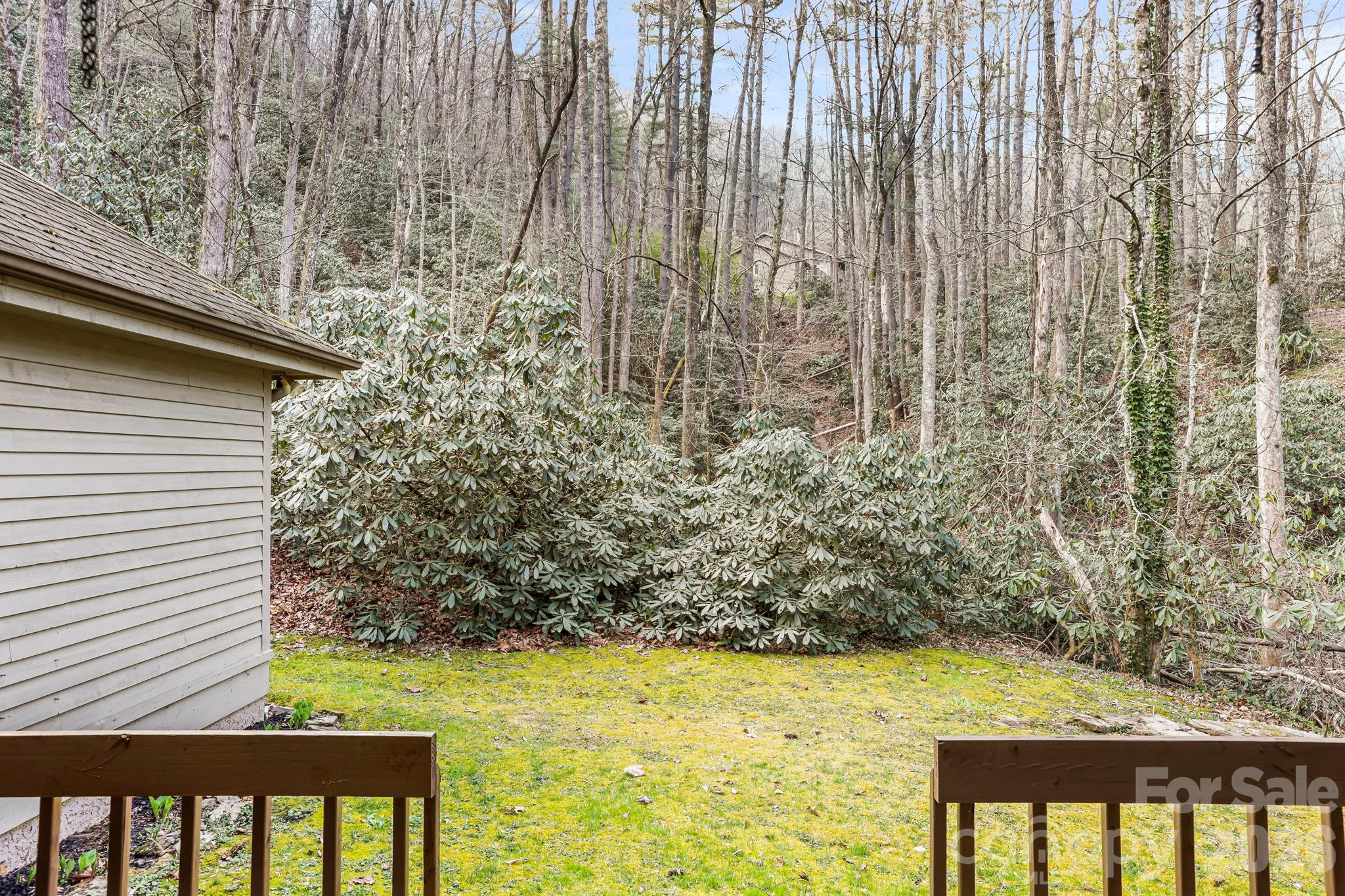 446 Silver Fox Lane