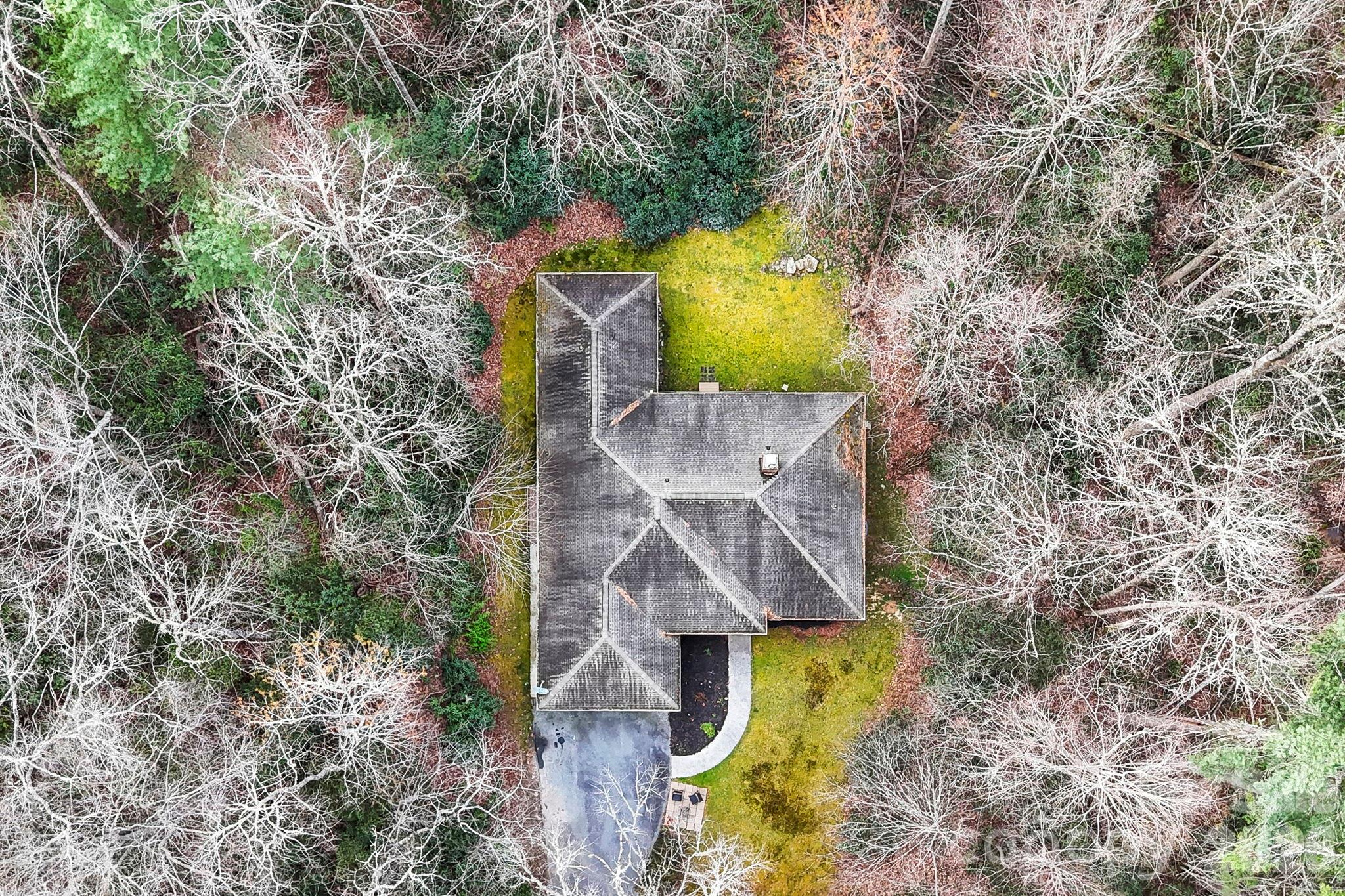 446 Silver Fox Lane