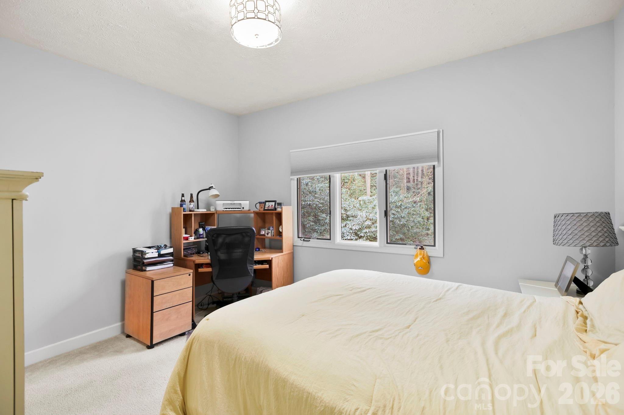 446 Silver Fox Lane
