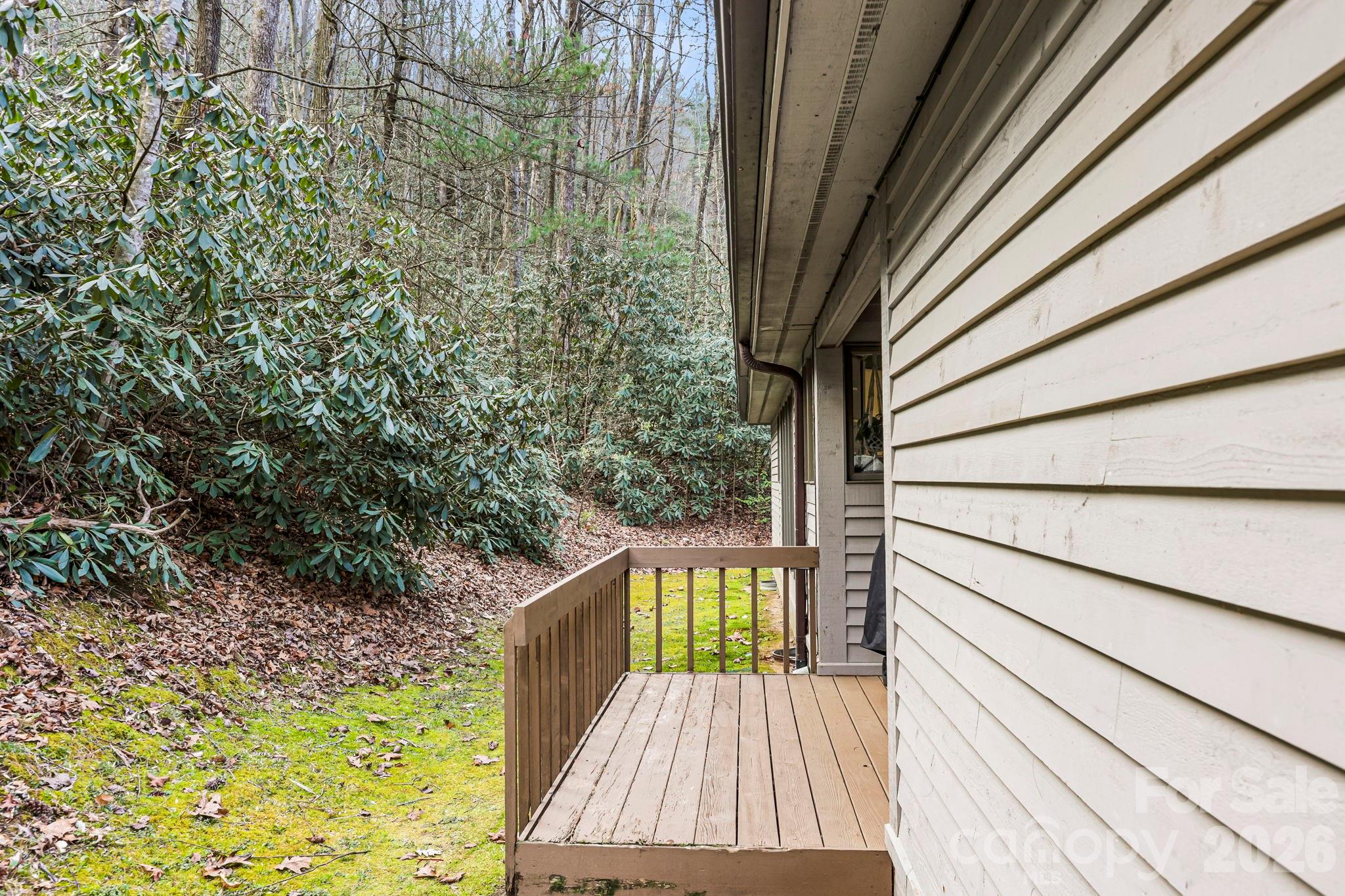 446 Silver Fox Lane