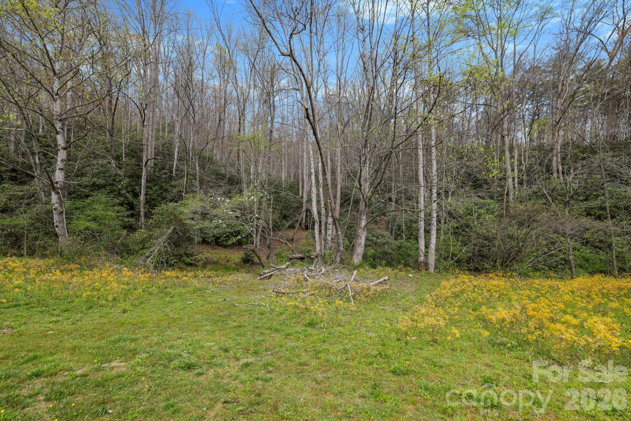 305 Stamey Creek Road