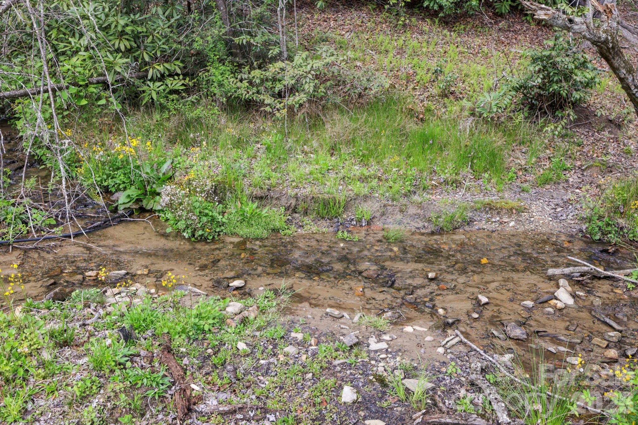 305 Stamey Creek Road