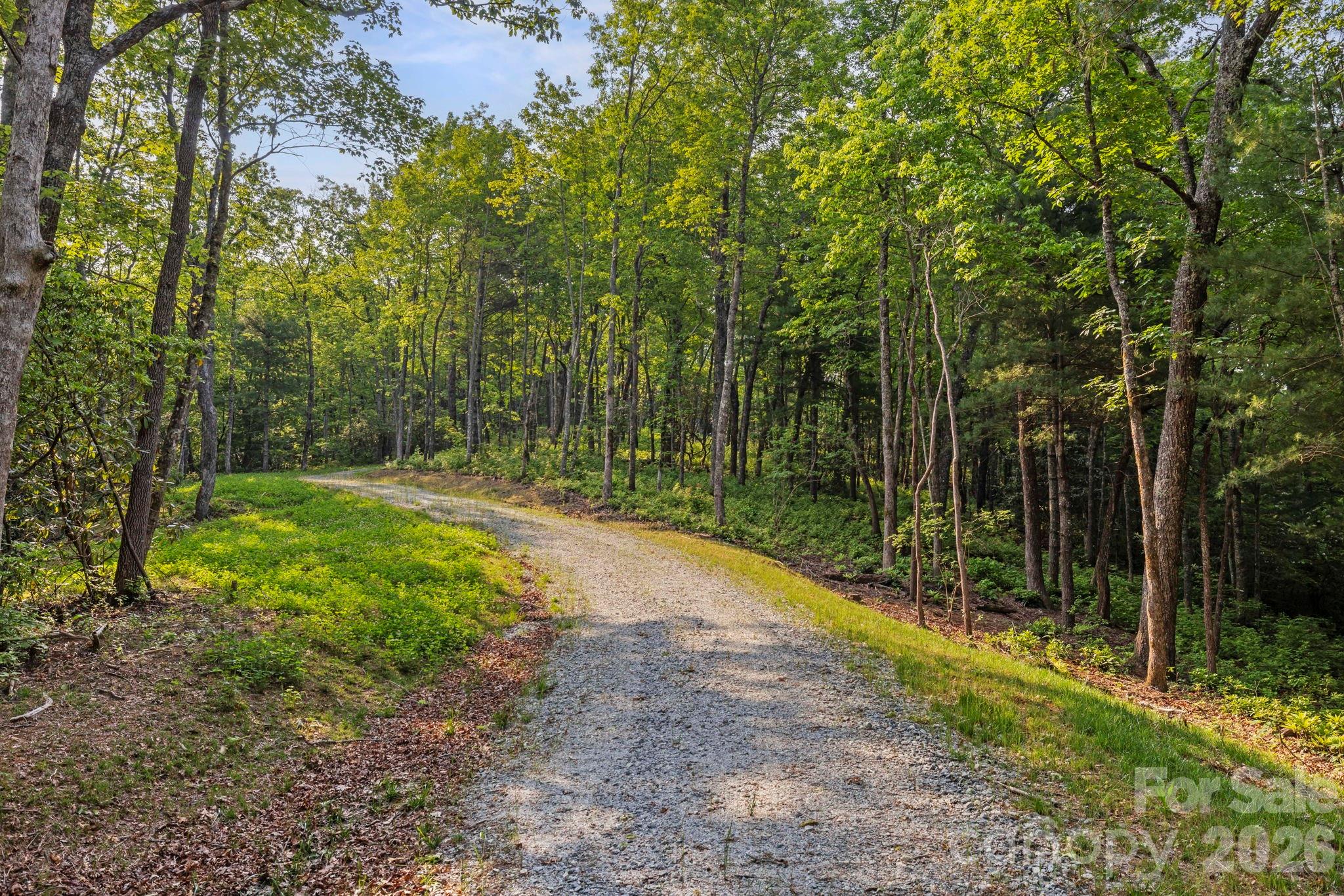 251 Paul McCoy Road