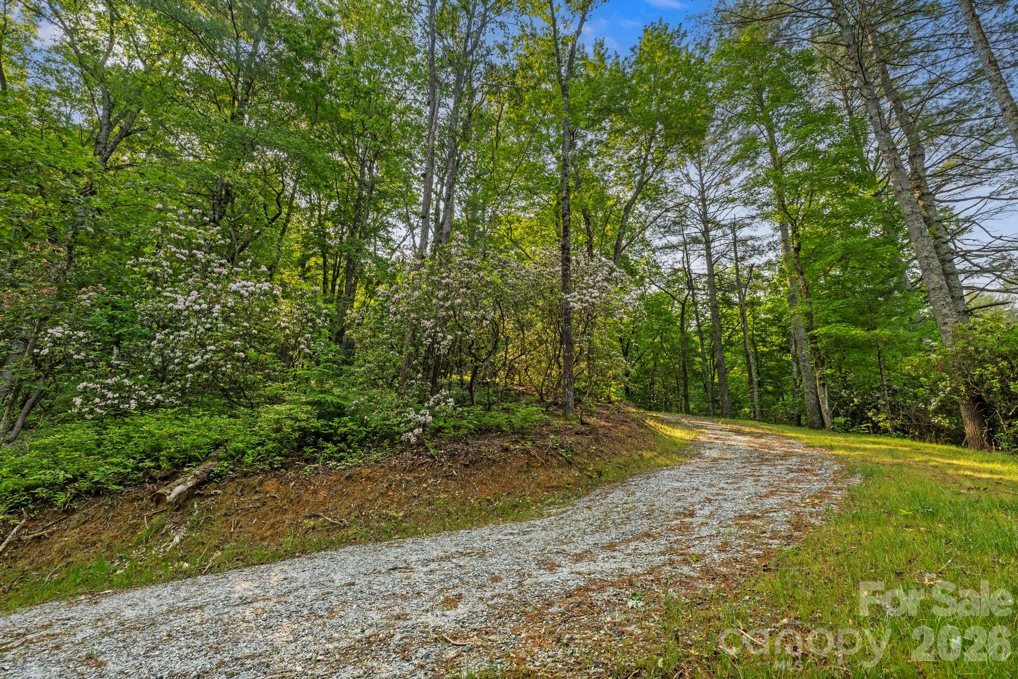 251 Paul McCoy Road