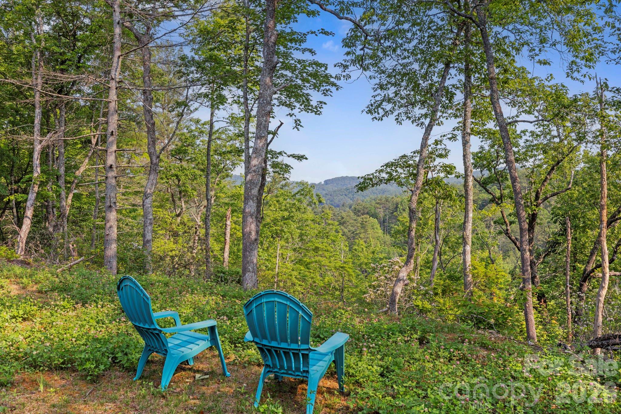 251 Paul McCoy Road