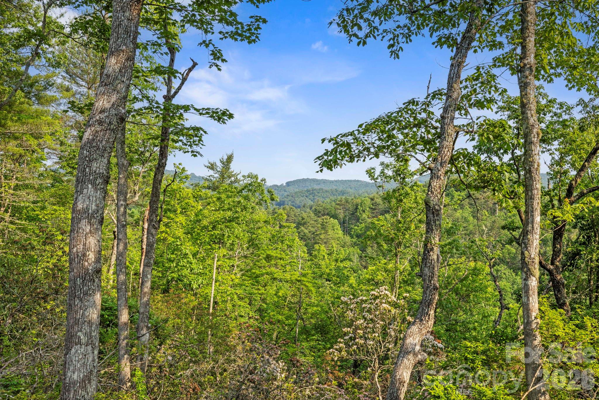 251 Paul McCoy Road