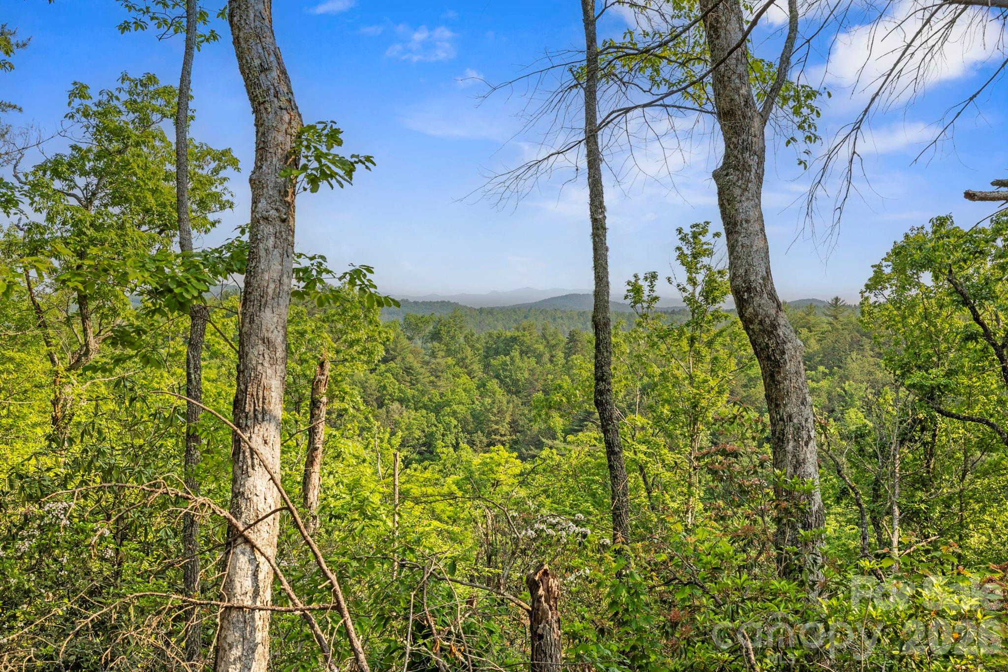 251 Paul McCoy Road