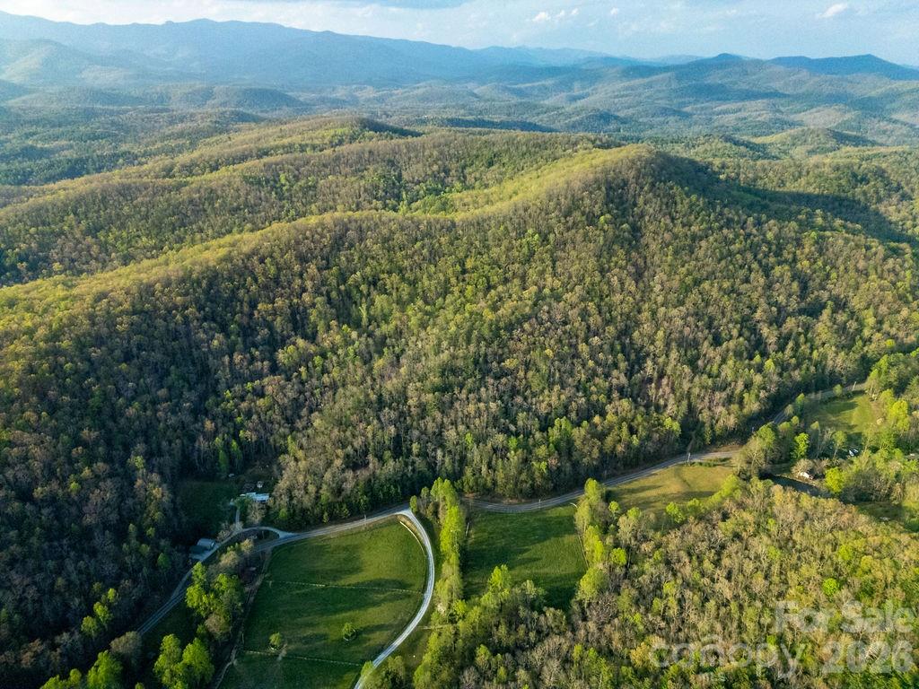 Off Diamond Creek Road