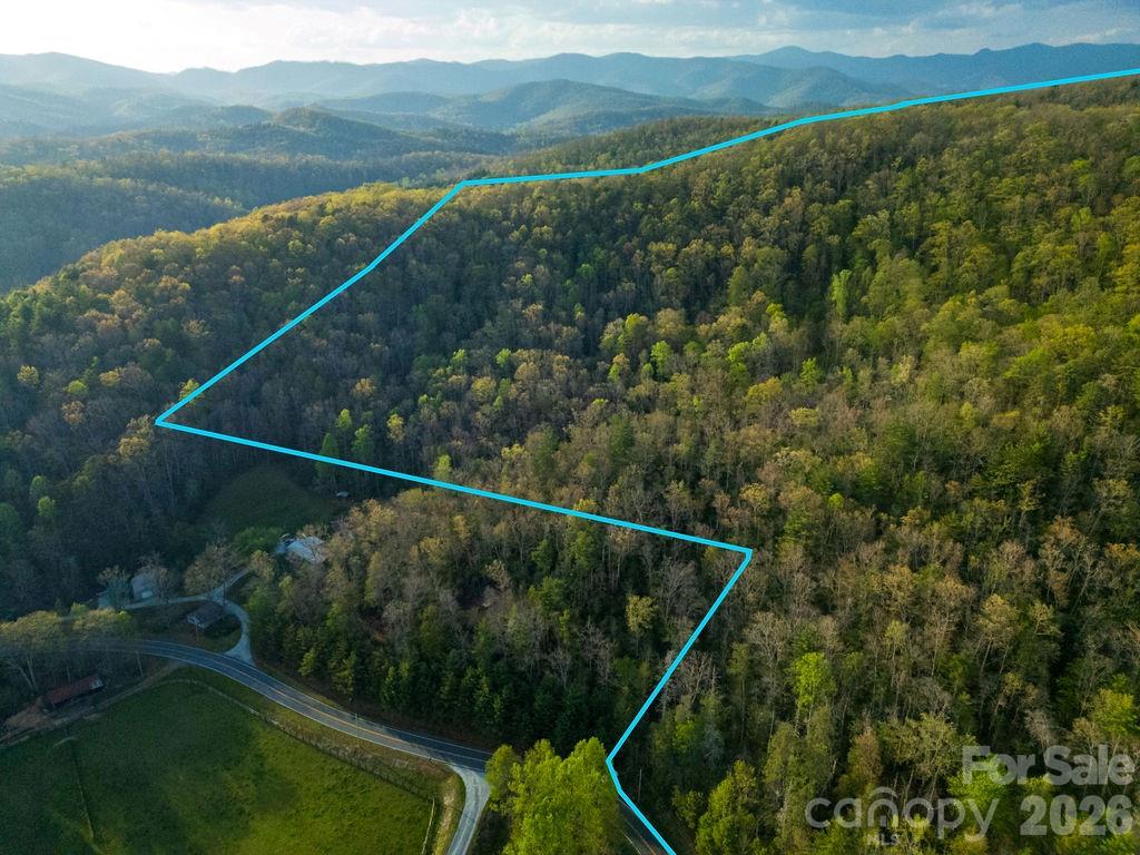 Off Diamond Creek Road