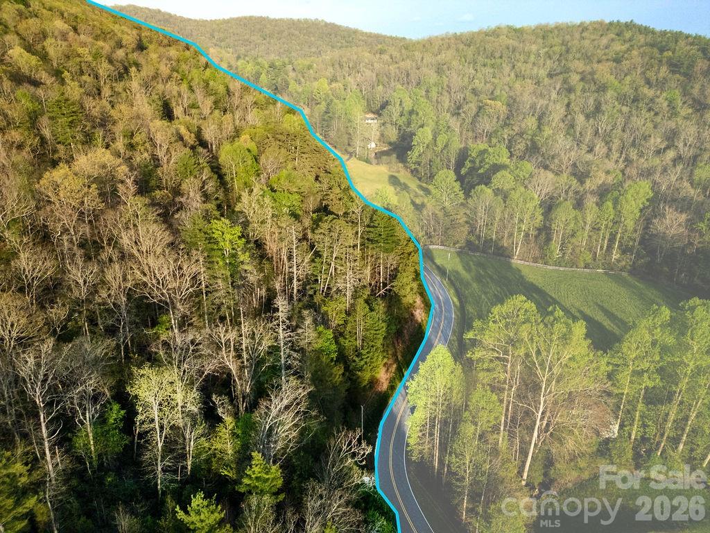 Off Diamond Creek Road